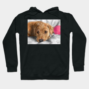 Sweet Golden Retriever Puppy Hoodie